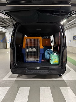 Transport003/25