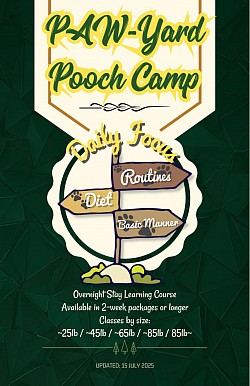 Poochcamp_001