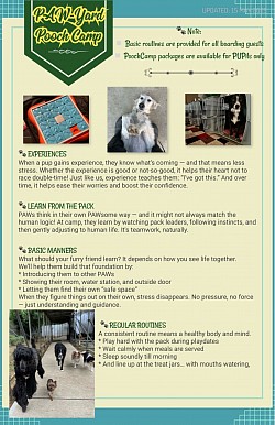 Poochcamp_003